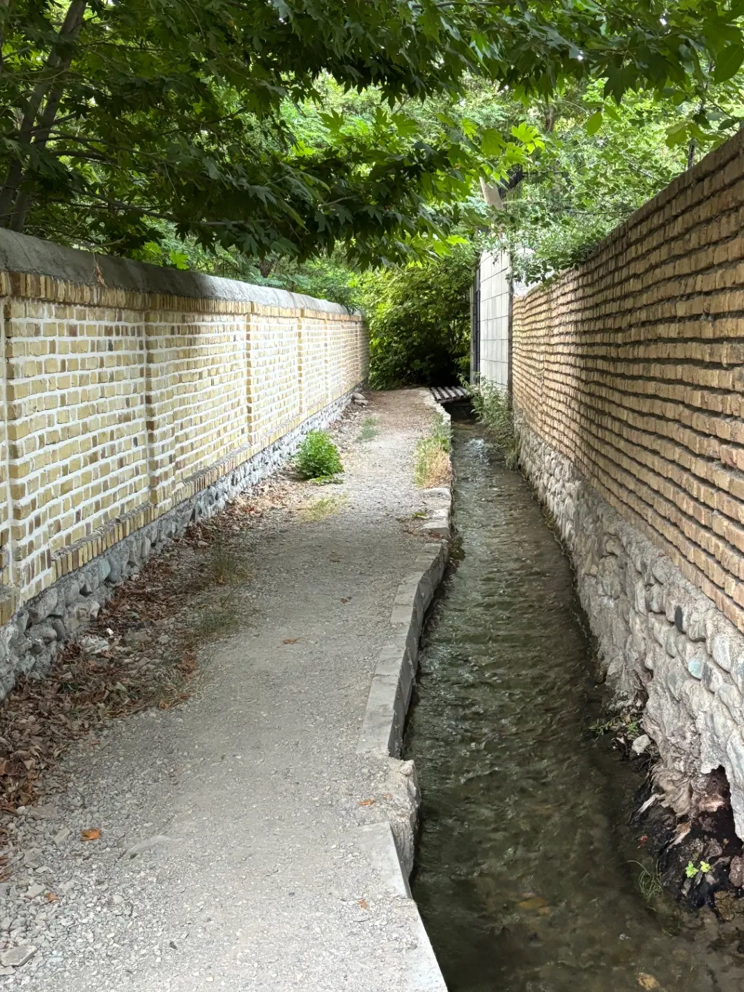 زمین باغی دارای سند قطعی