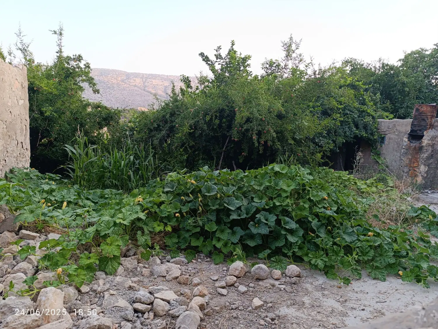 فروش زمین دولتی فاز3دونبش
