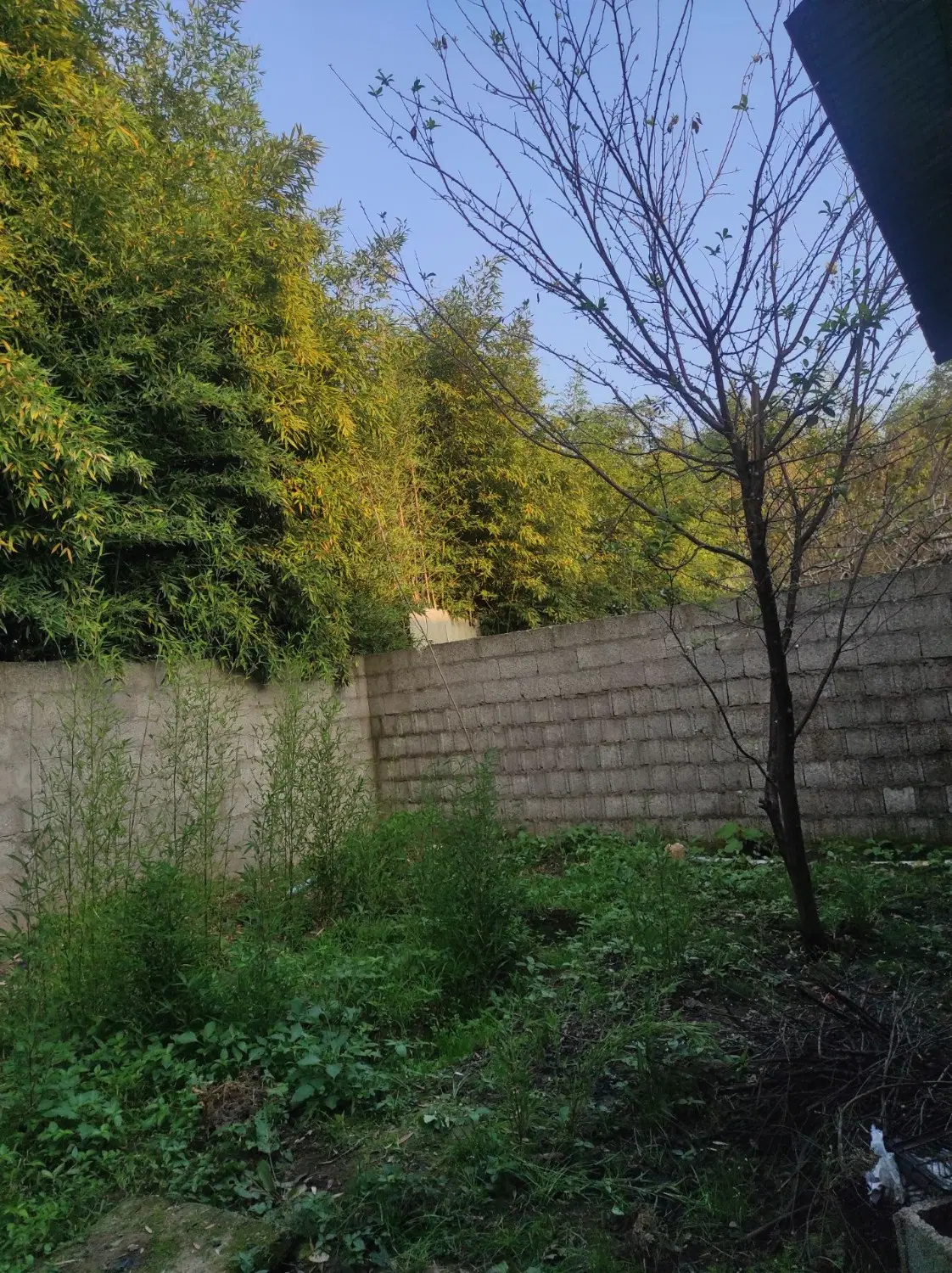 فروش ویلایی