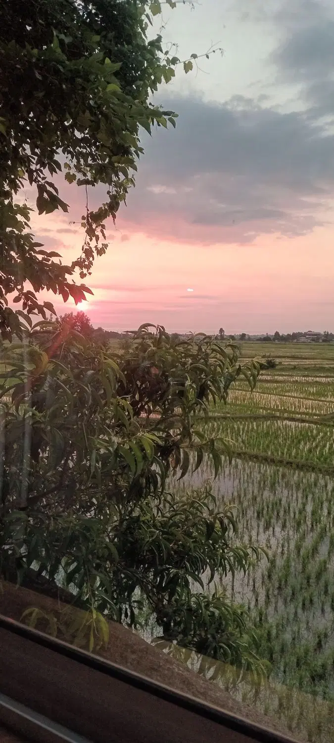 ویلا اجاره ای روزانه
