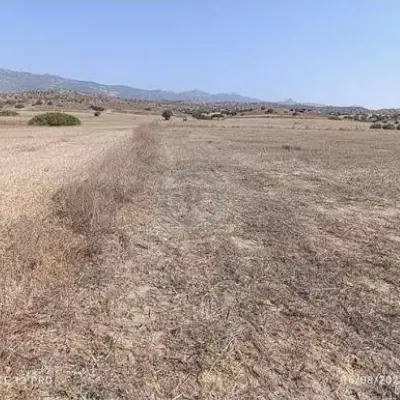 زمین    شهرک غرب