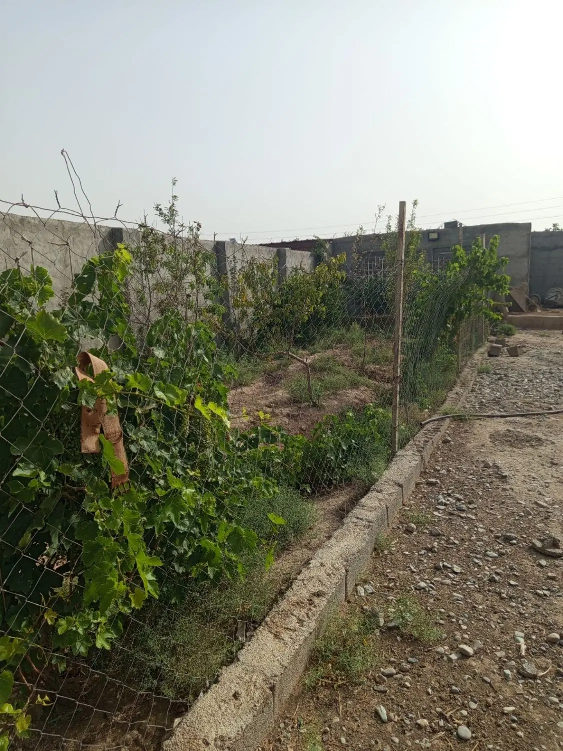 باغچه ۳۰۰ متری