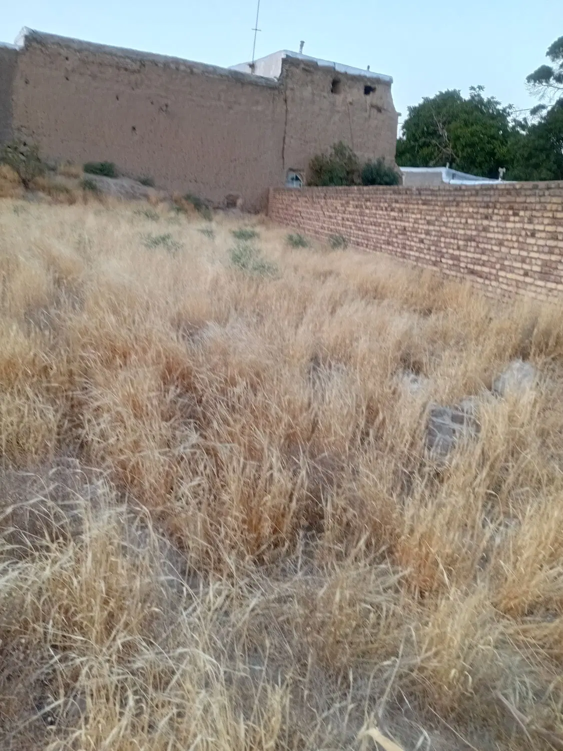 زمین تک برگ سند محلات