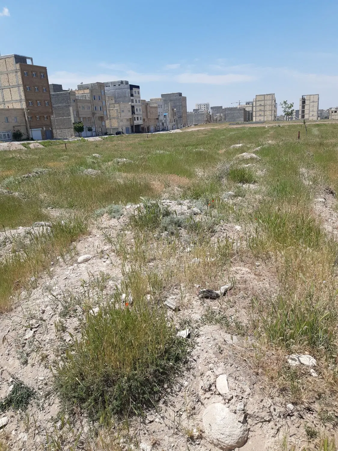 زمین در زیباشهر