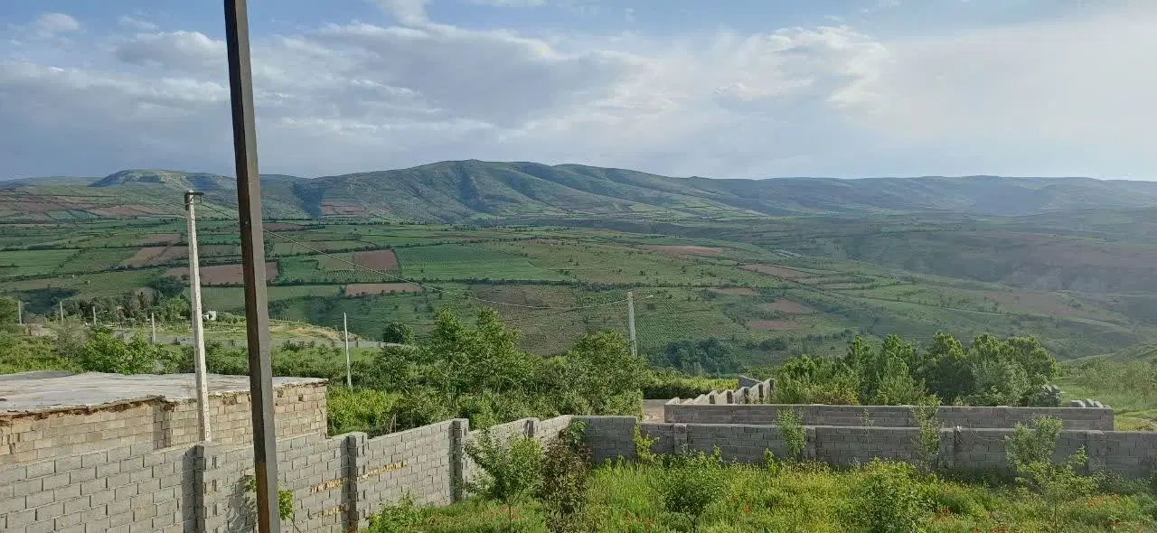 فروش باغ انگور روستای گلی کنار جاده