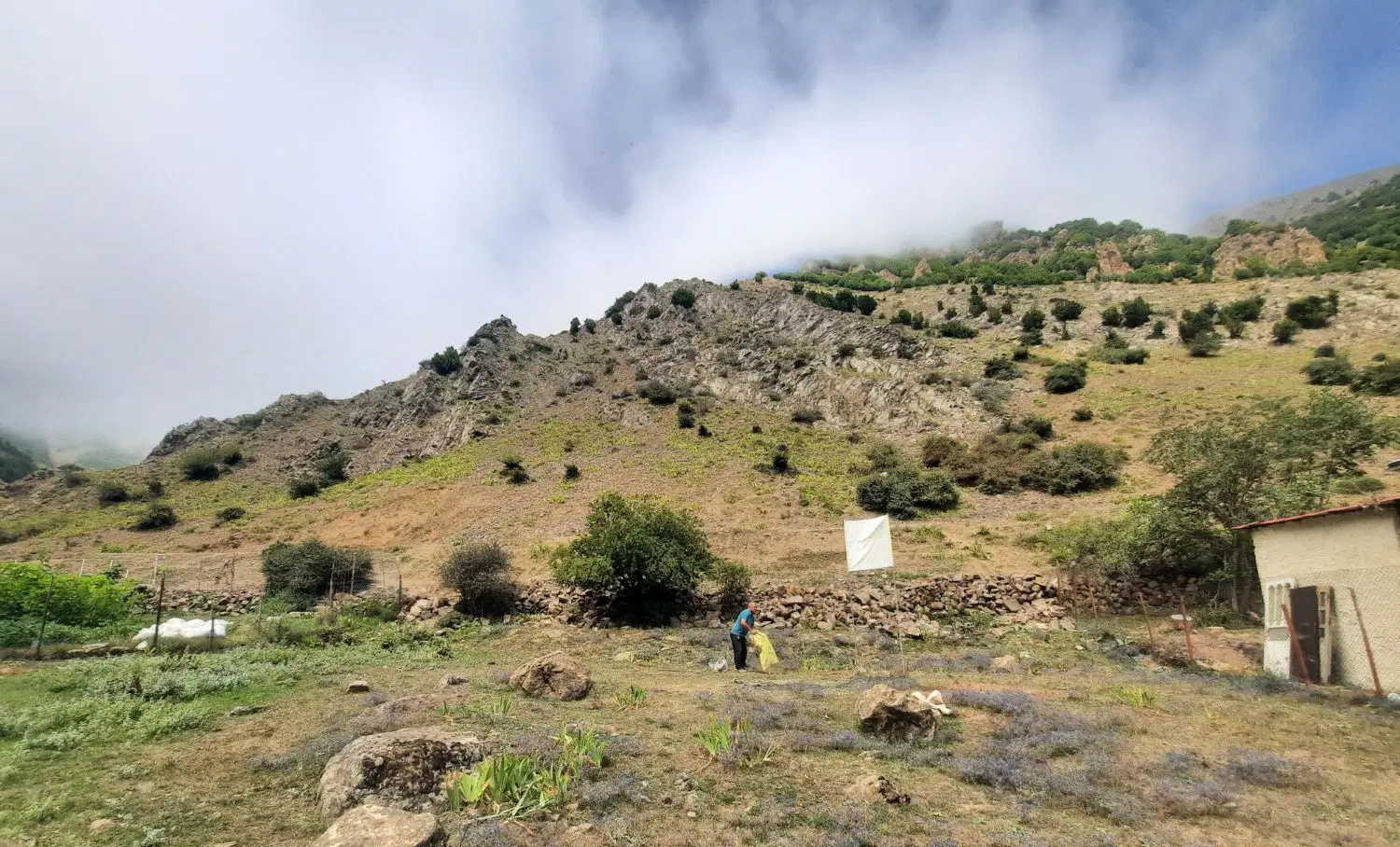 فروش زمین در روستای دلیر