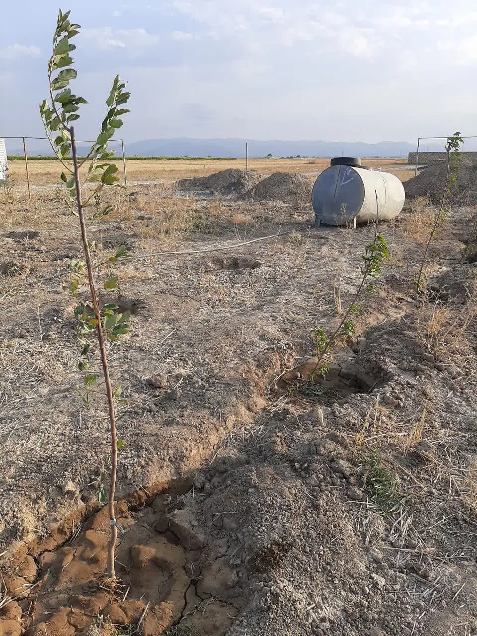 زمین روستای مرادآباد