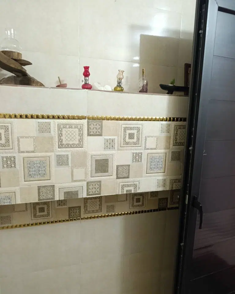 ملک نوساز چهار ماه آمدیم داخل خونه