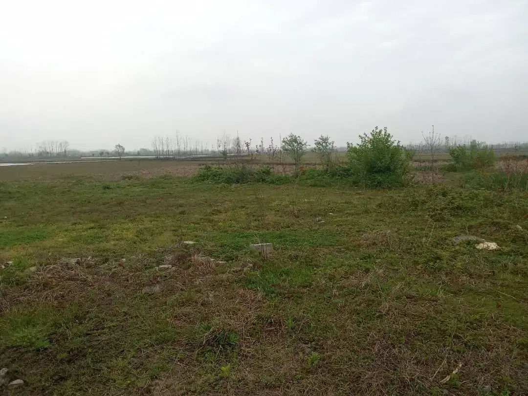زمین باغی با قابلیت ساخت کلبه سویسی