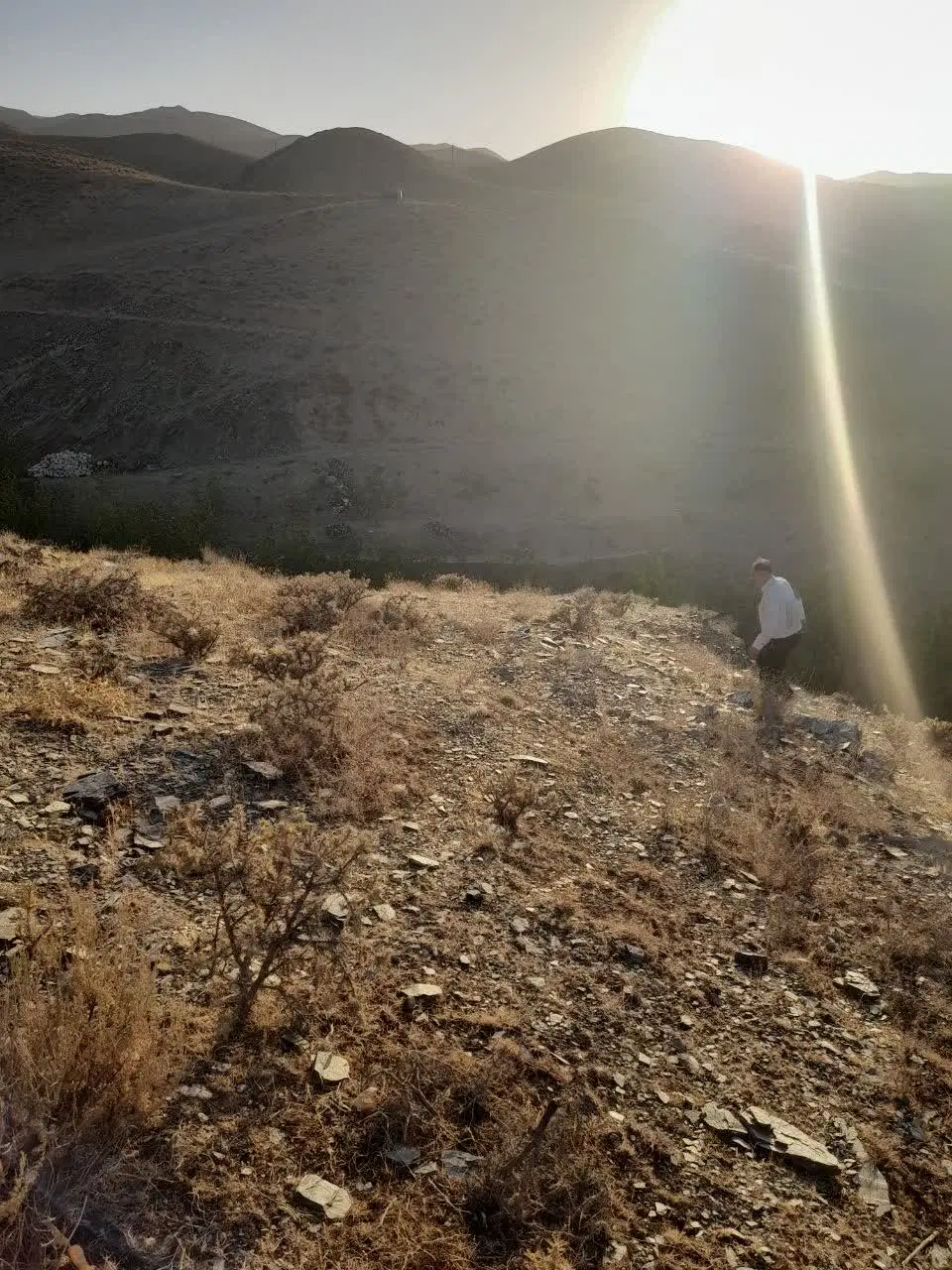 زمین در ابرده و شاندیز
