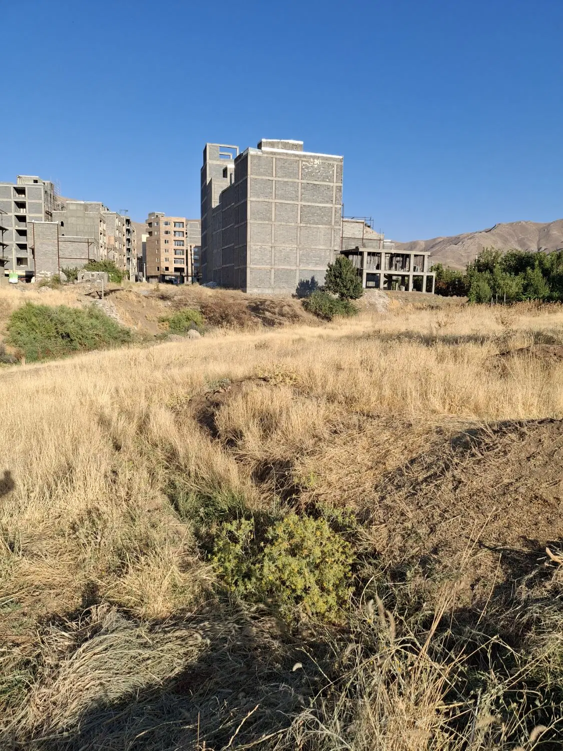 زمین ۱۰۰متری اول دوشان