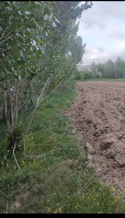 زمین زراعی مناسب کشت و ویلا باغ