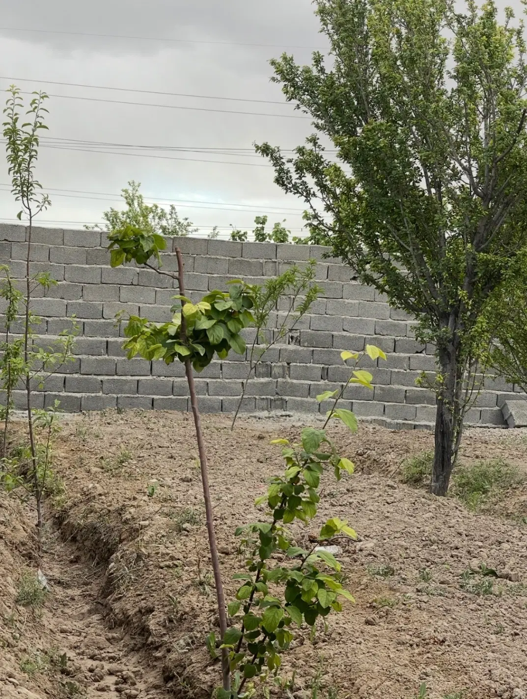 باغچه آب برق و سند تکبرگ