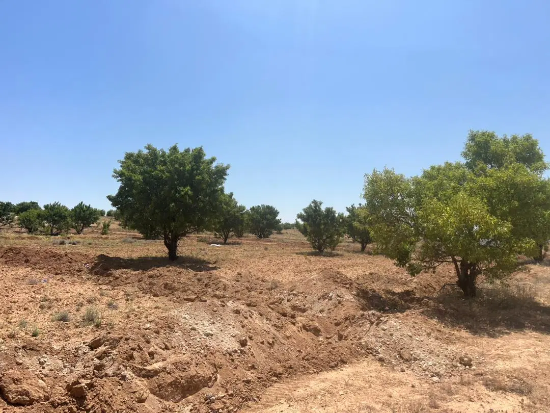 باغ ۱۰۰۰ متری کودیان