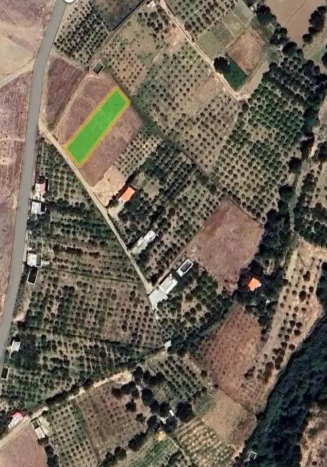 فروش قطعه زمین در   اراضی روستای قلیان  دارای سند