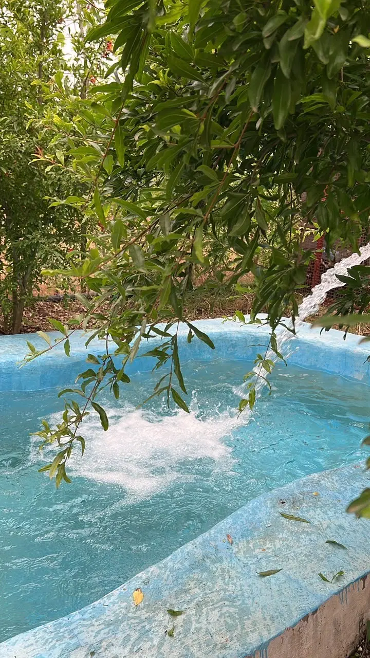 فروش باغ تهاتر با خودرو