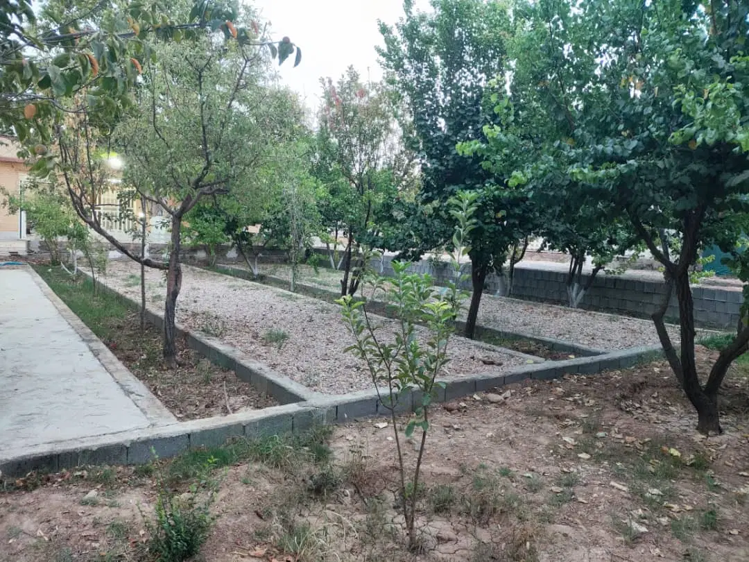باغچه ۱۰۰۰ متری