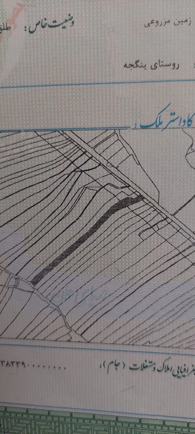زمین مزروعی ینگجه