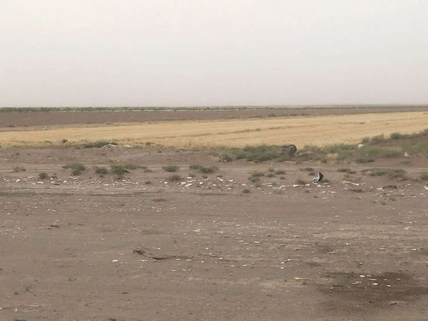 زمین بحر جاده جعفریه 2 هکتار 2ساعت