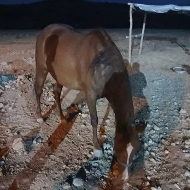 فروش زمین مسکونی کلستان
