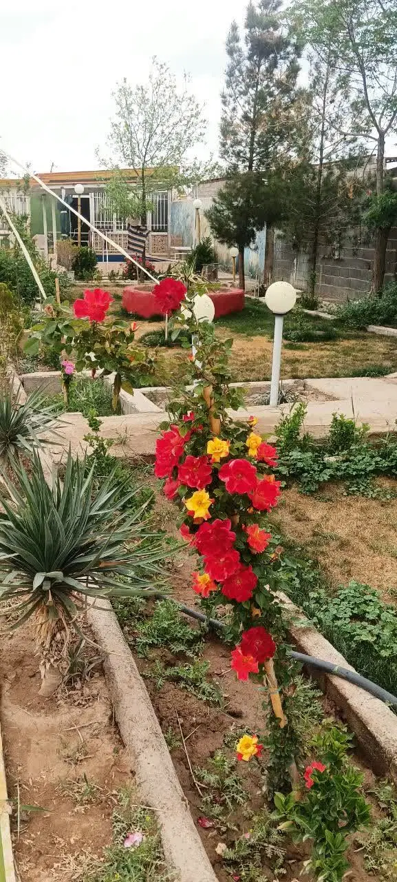 باغ ویلا شیک و تمیز جهت سرمایه