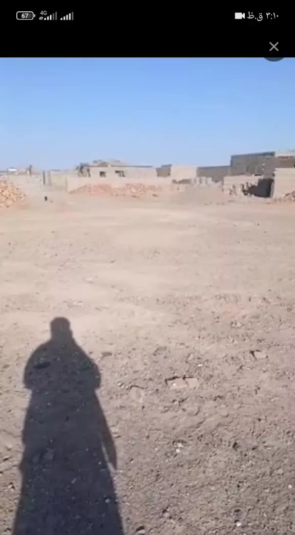زمین کالیکه سند دار