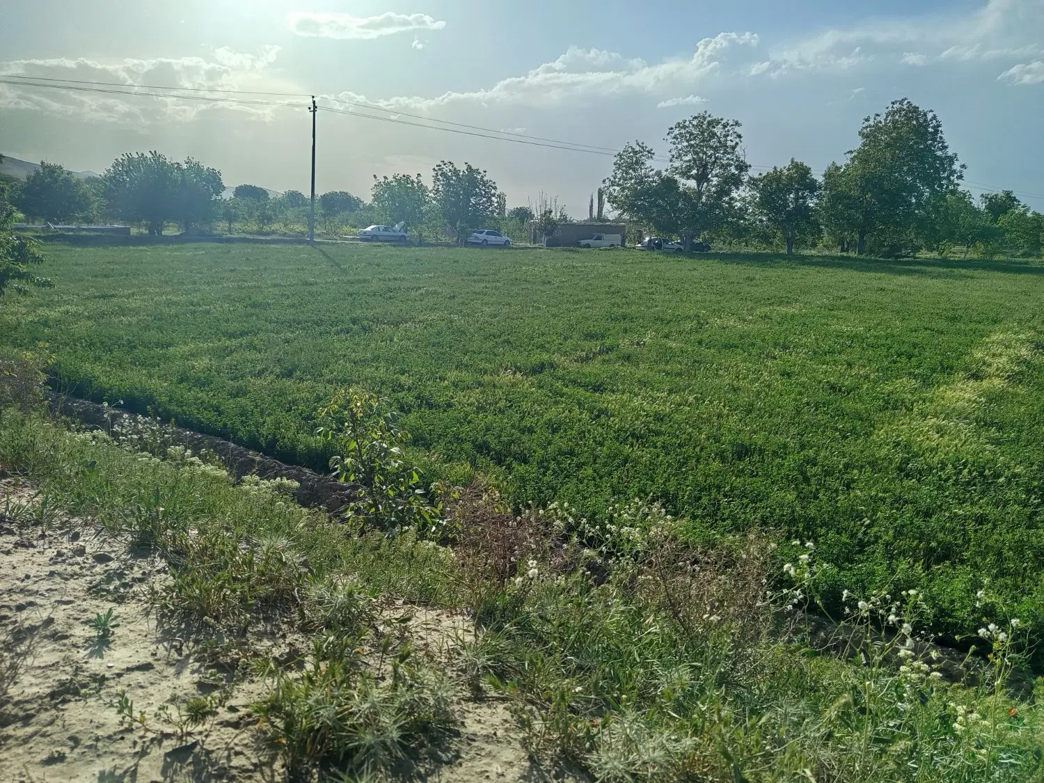 زمین فروشی مناسب باغ و ویلا