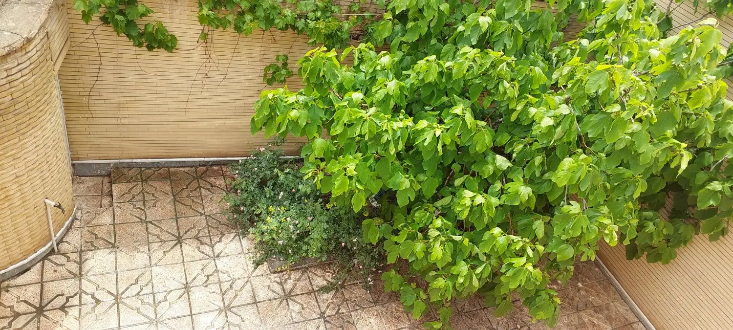 اجاره آپارتمان