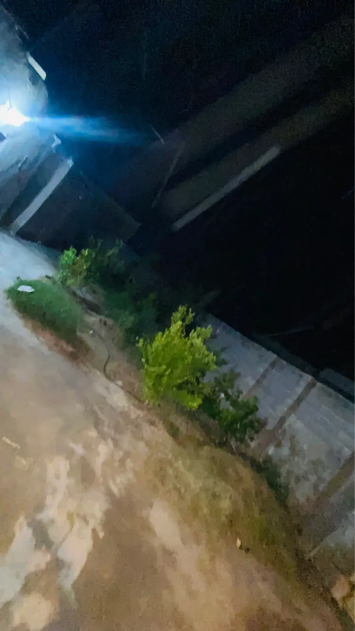 خونه دوره ای