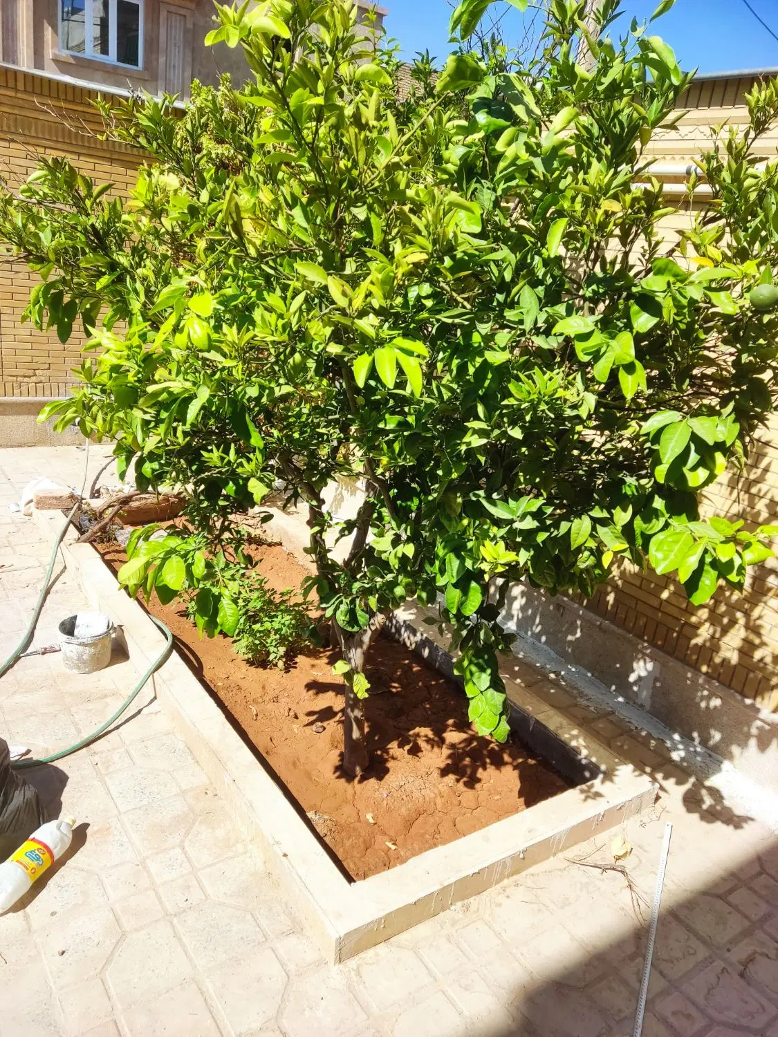 فروش خانه کلنگی در خیابان سلمان فارسی