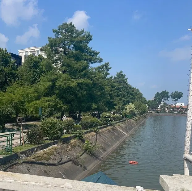 اکباتان ۲۳۲ متر دو نبش جنوبی