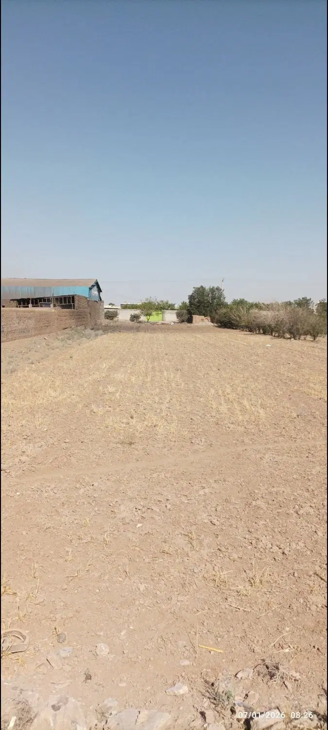 زمین تجاری کشاورزی