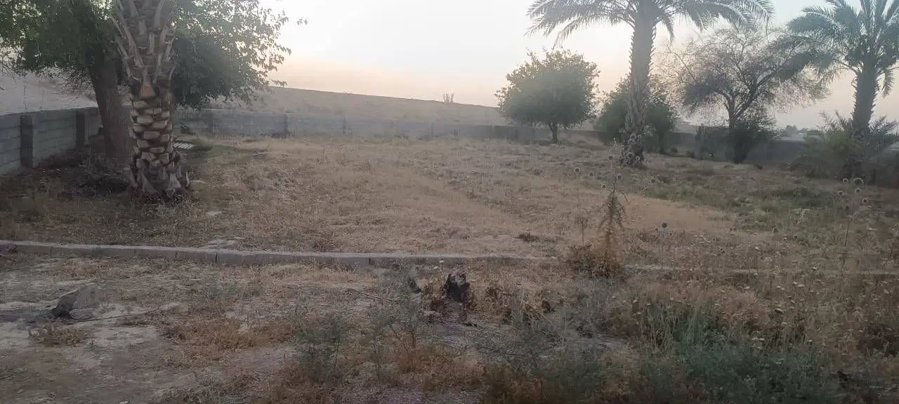 زمین شلیلی بزرگ