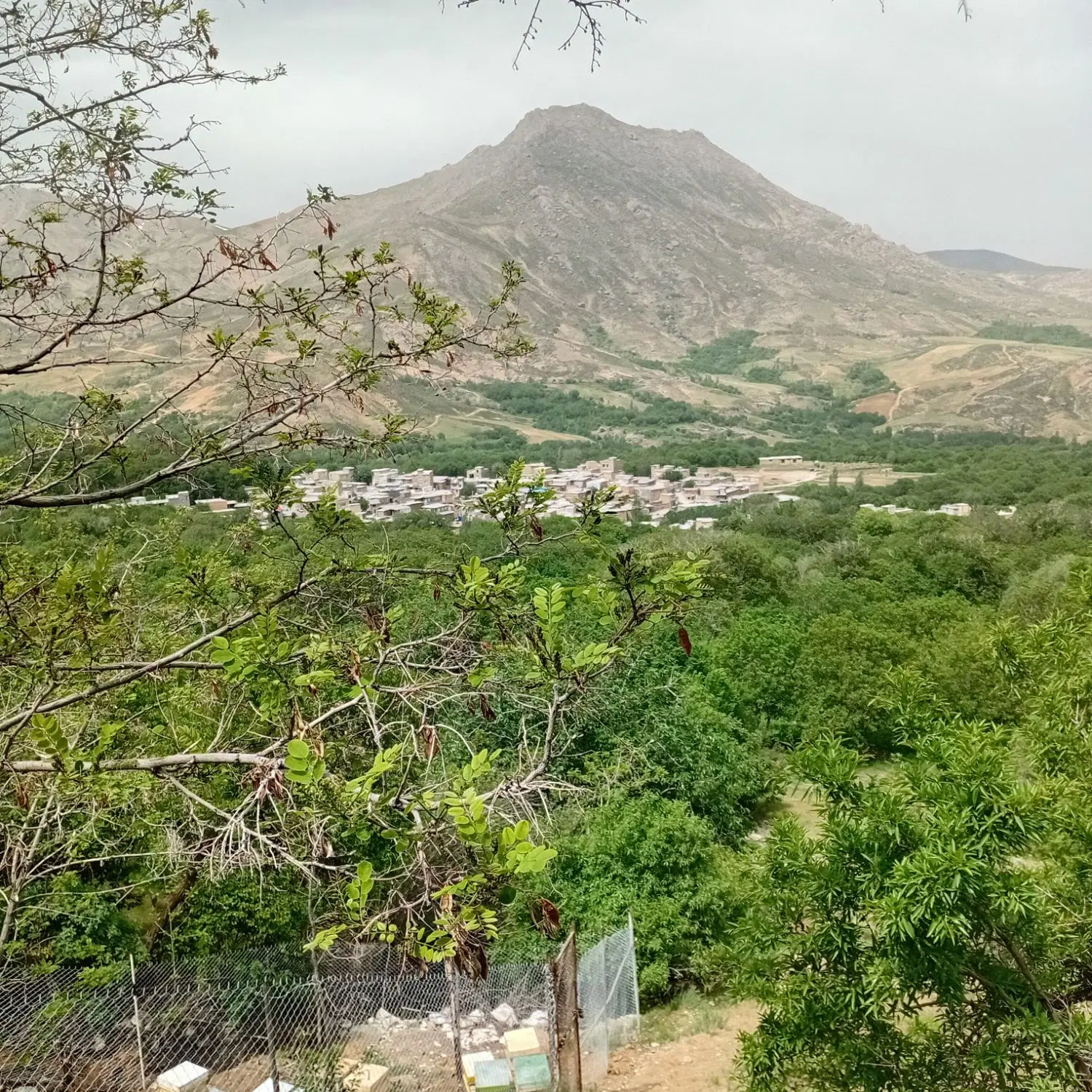 زمین باغی و زمین مسکونی روستای نوراباد