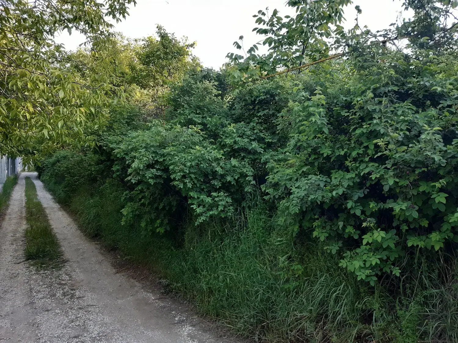 فروش خانه باغ وباغ در اسداباد(ملحمدره)