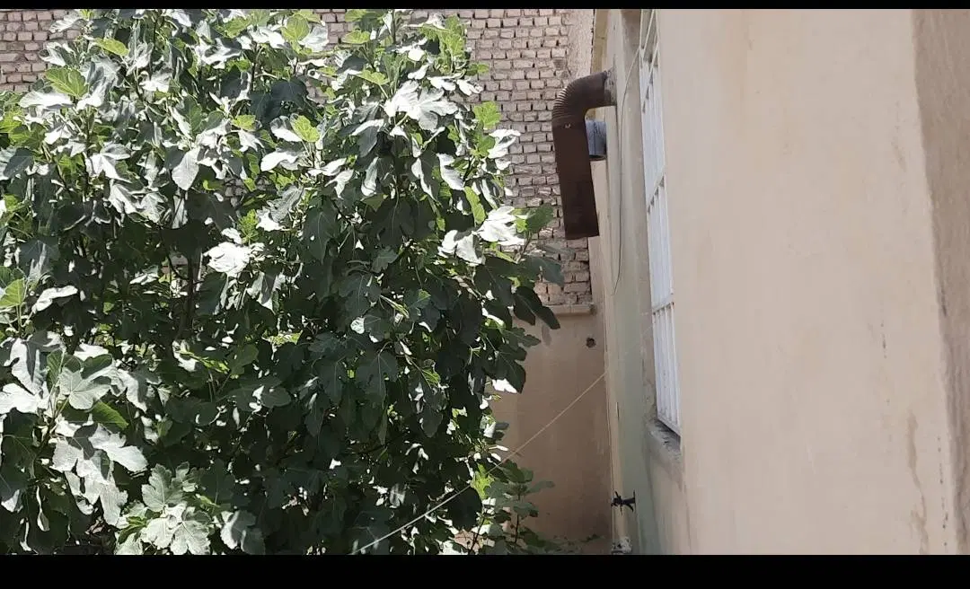 فروش ملک قدیمی
