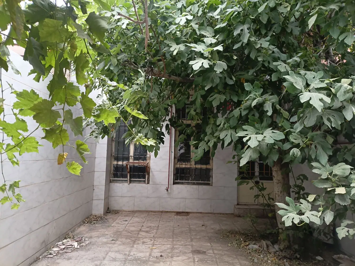 منزل رهن واجاره خیام