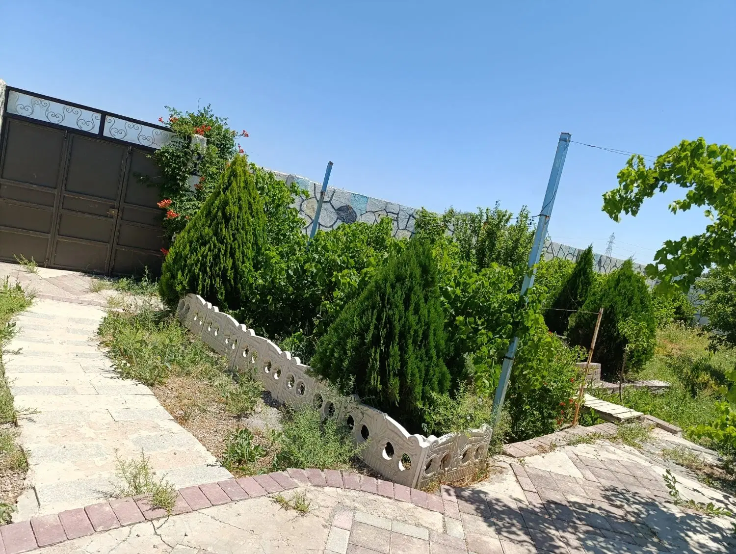 باغ۵۰۰ متر باغمعروف