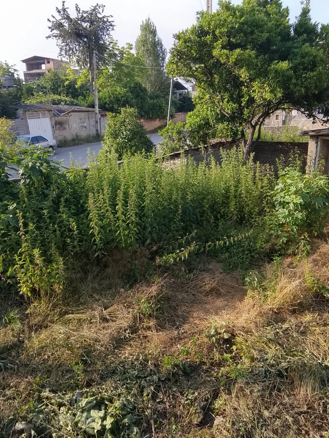 فروش زمین ۱۲۰ متری شهری با بر ۱۱ متر
