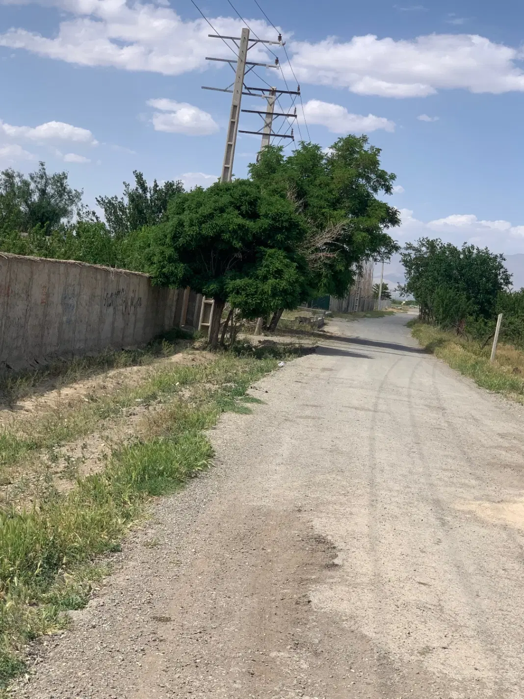 ۵۰۰ متر باغچه بر اسفالت تنکمان شهرک کمال