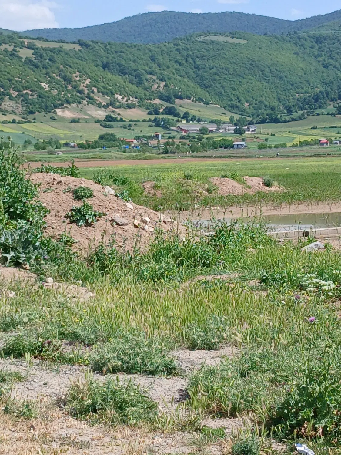 زمین در اطراف جاده کیاسر نزدیک بافت