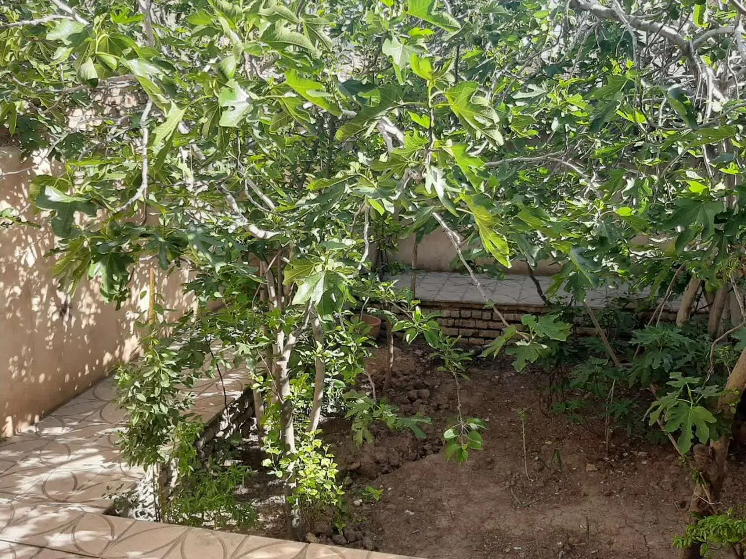 فروش خانه ویلایی حسن آباد سندتک برگ