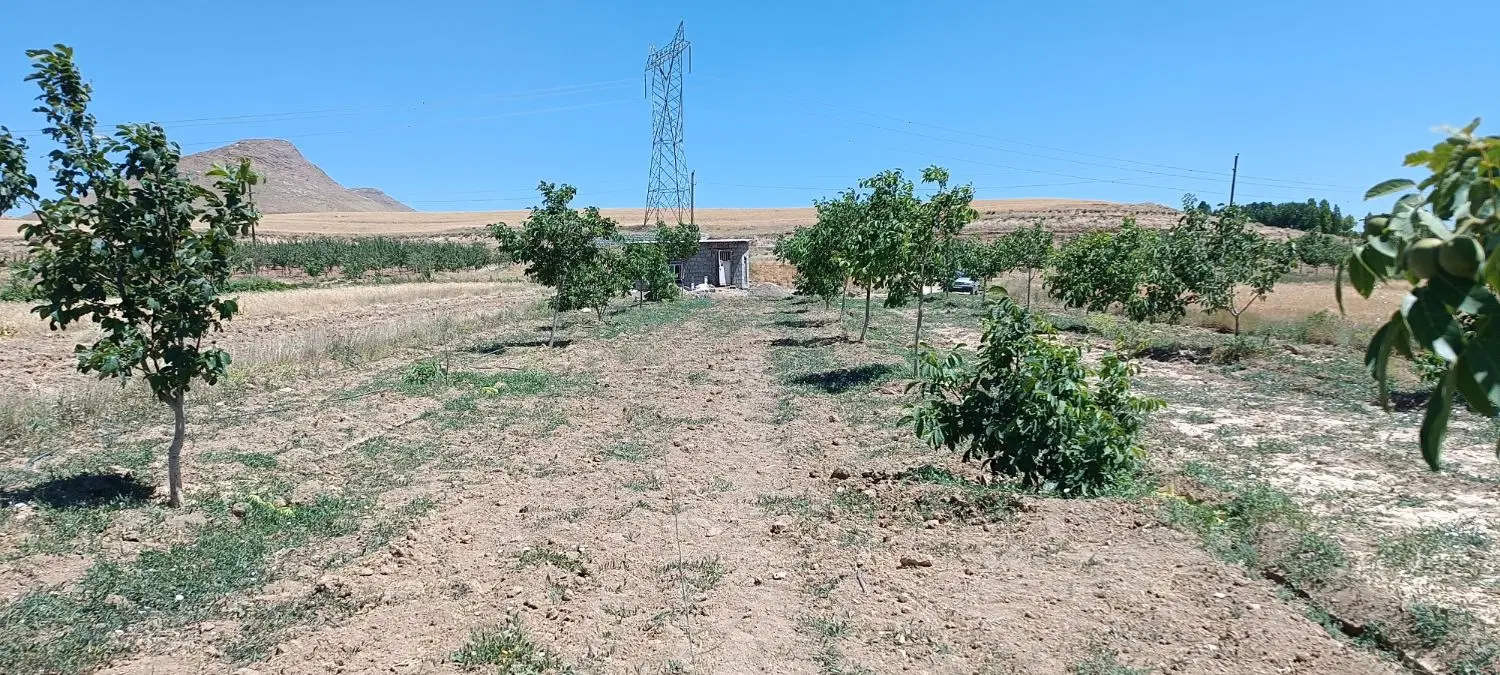 باغ روبروی عمارت