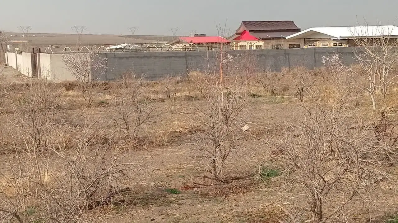 فروش باغ ۲۰۰۰ متر