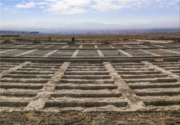 زمین