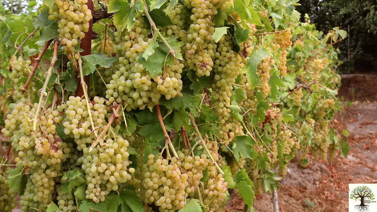 زمین بحر آسفالت چسبیده به شهر