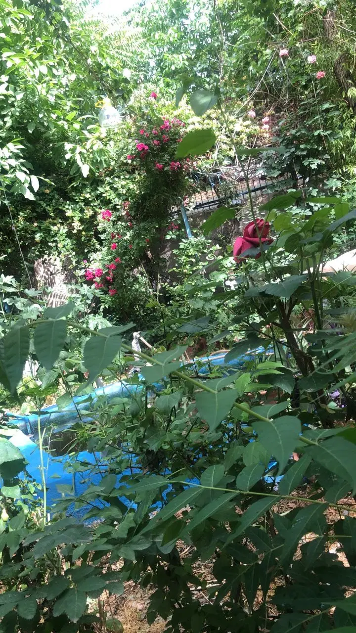 خانه باغ روستایی در هشتگرد