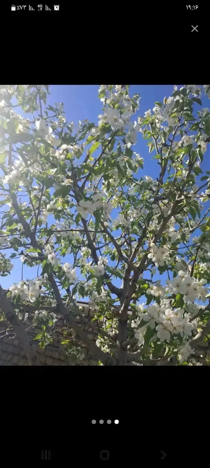 فروش خانه ویلایی روستای برناباد قدیم