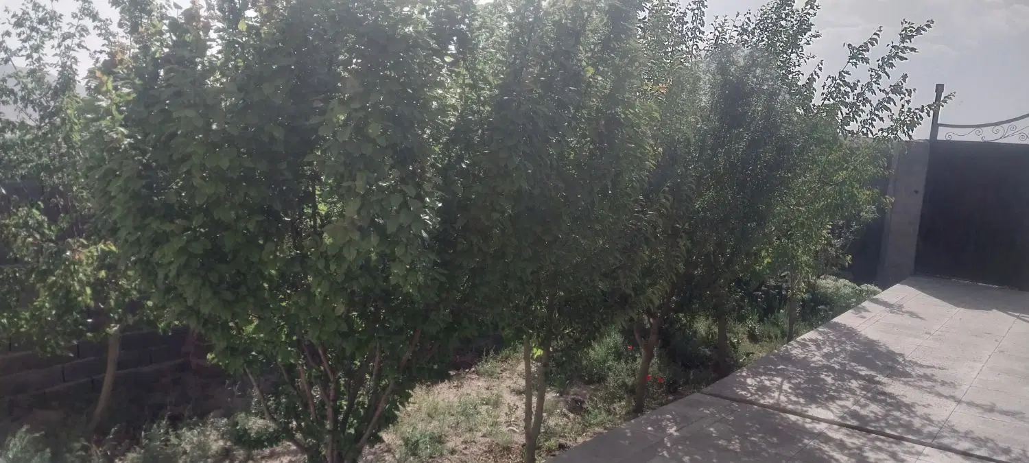 ۳۰۰متر باغچه ۳۰عددانواع درخت میوه در کرمآبسرد