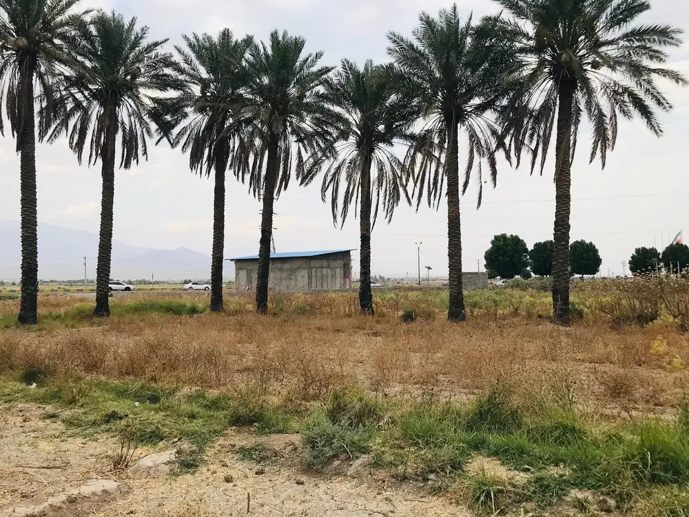 فروش نقدی ۶۸۵متر زمین